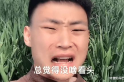 审判员小姐姐,公正与正义的守护者